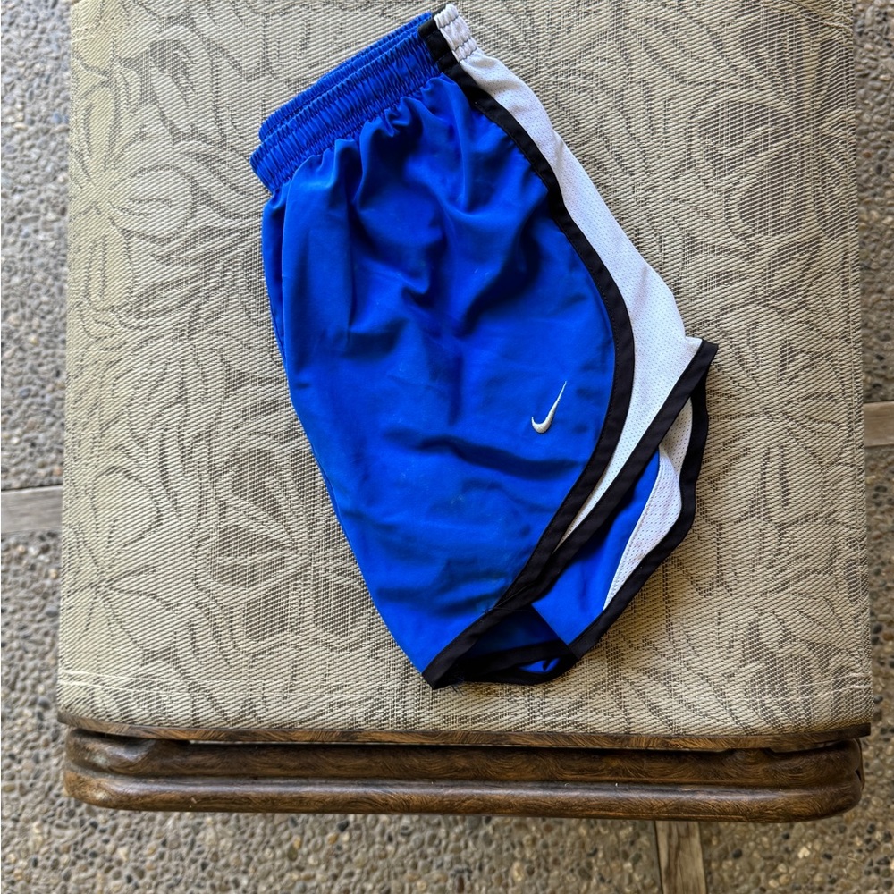 Nike Royal Blue and White Sports Shorts